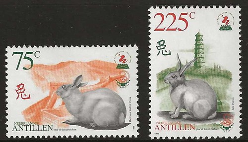 Basso antille lotto conigli - basso,