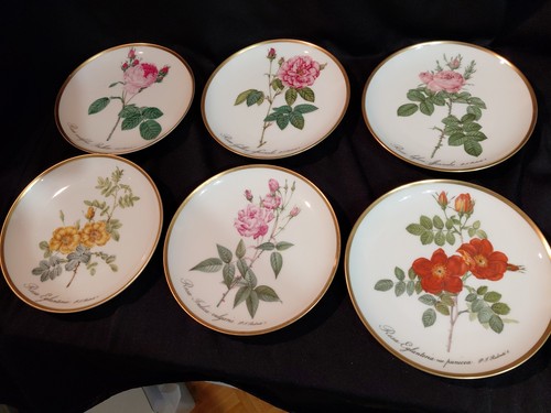 Piatti collezione da - collezione,