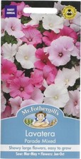 Mr fothergills Lavatera semi