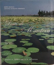 Libro - NUVOLETTI PERDOMINI Giovanni - DESIR DI... MANTOVA.