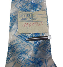 ALBERINO SPINTEROGENO FRIZIONE