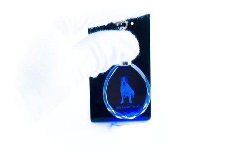 Jack russell terrier cane - jack,