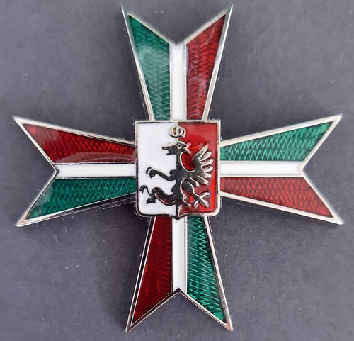 2161 ww2 polacco - polacco, 4°