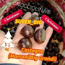 3_KG CASTAGNE MARRONI " BIG GRANDI  🌟 OFFERTA 🌟"  20 GRAMMI A UNITÀ 