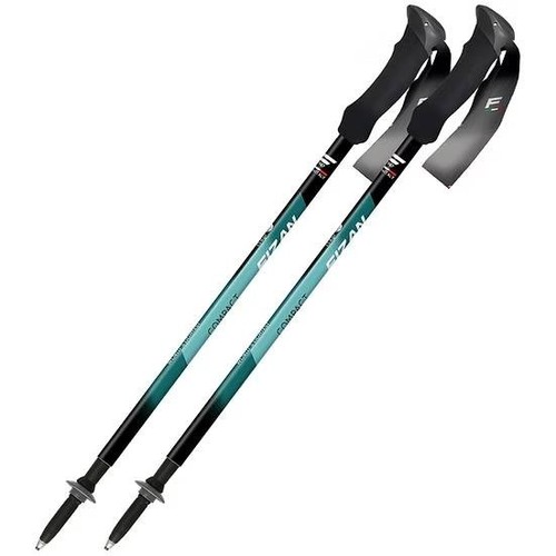 Bastoncini trekking fizan mod - trekking,