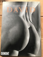 Michelangelos David. Fotogr