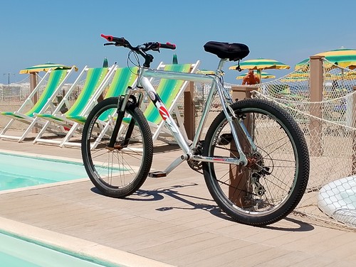 Bici alluminio - bici, in