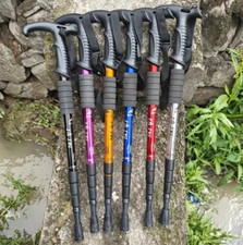 1 Bastoncini da Trekking