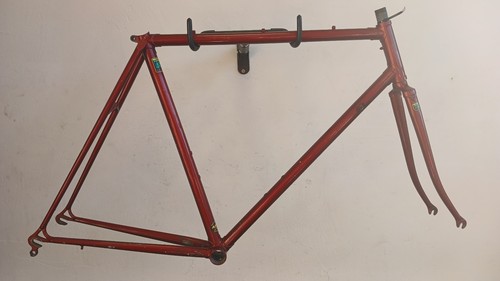 Reynolds 531 competizione - 531,