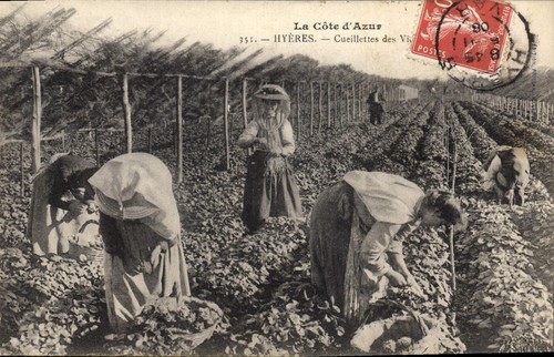 Côte azur hyères - —,