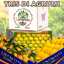 Tris di Agrumi - Clementine, Arance e Limoni Calabresi (Piana di Sibari) - 15Kg