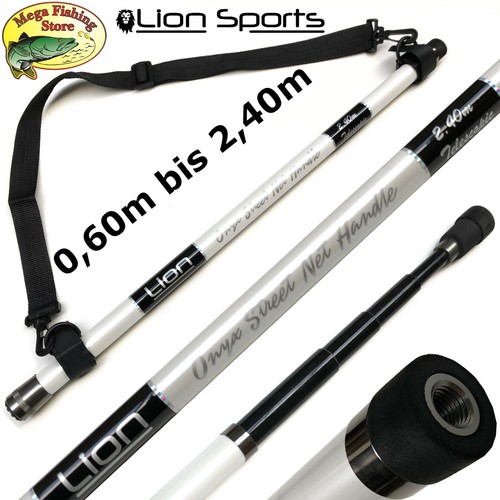 Lion streetfishing asta - lion,
