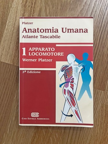 Anatomia umana atlante - umana,
