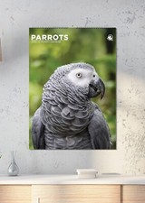 Calendario A3 Pappagalli 2026