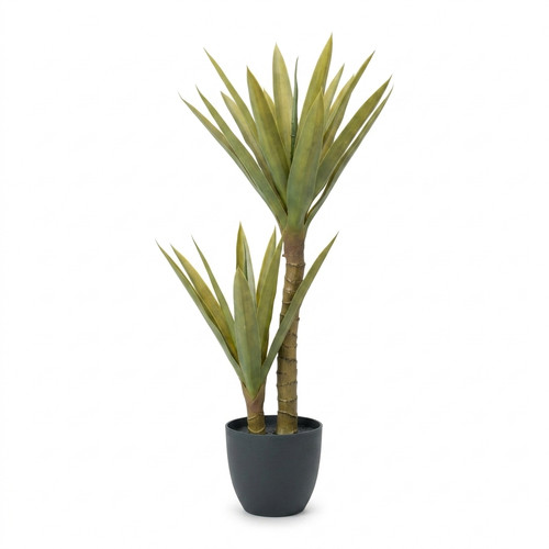 Pianta yucca artificiale - di,