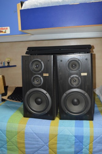 Casse acustiche pioneer - acustiche,
