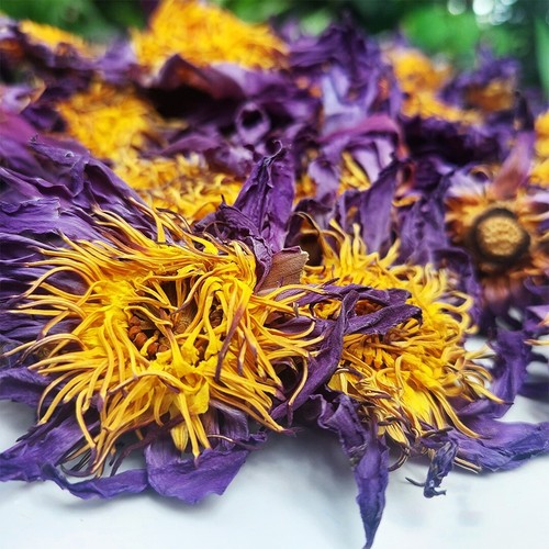 Tisana biologica blue lotus - tisana,
