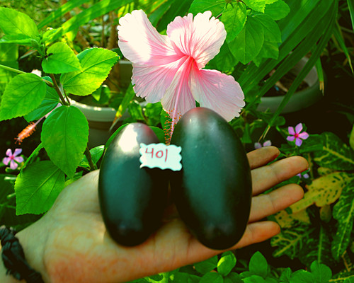 Pietra shiva lingam è - shiva,