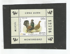 Montenegro Europa 2019 blocco