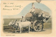 COTTON CART. BRITISH INDIA OX