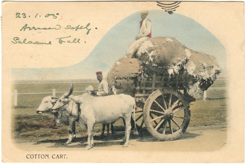 Cotton cart india britannica - cotton,