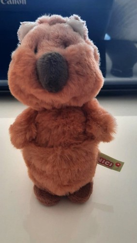 Peluche quokka originale - peluche,
