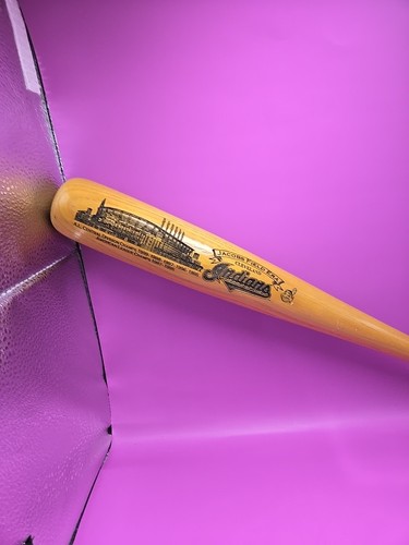 Cleveland indians heavy hitter - cleveland,