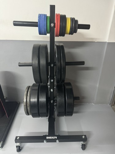 Porta dischi palestra bear - palestra,