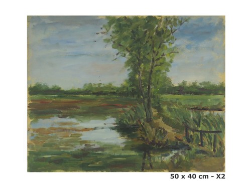 Vecchio quadro paesaggio - quadro,