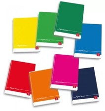 maxiquaderni monocromo maxi quaderno rigatura 1R/5MM/10MM Pigna 42ff gr.80