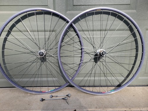 Cerchio campagnolo 700c - cerchio,