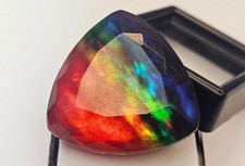Ammolite Bio Trilion Cut