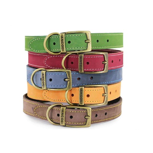 Collare per cani vera pelle - per,