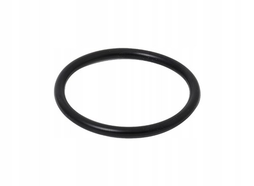 Ring filtro cambio - o-ring,