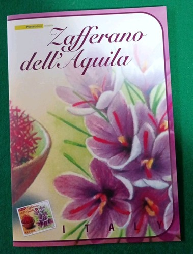 2008 italia folder - folder, zafferano