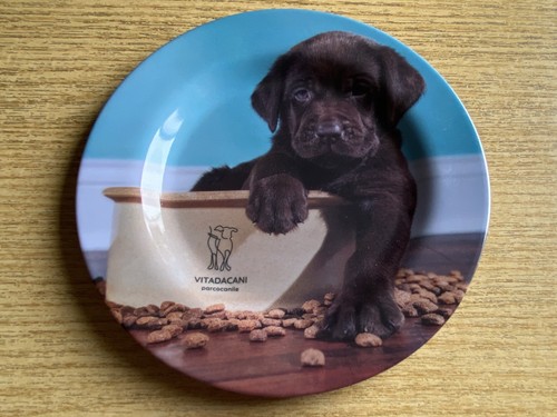 Piatto gadget vita da cani - da,