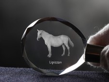 Lipizzano, Cavallo Cristallo
