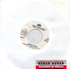 DURAN DURAN ( ORDINARY WORLD)