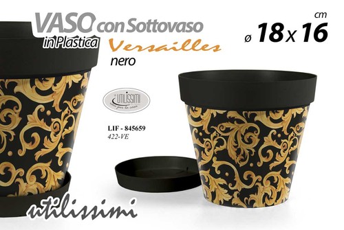 Vaso piante grasse - piante,