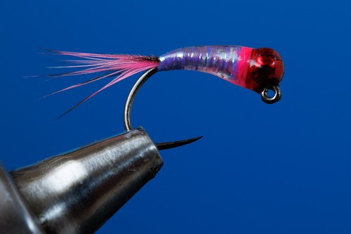 Fliegentom pezzi perdigon - pezzi,