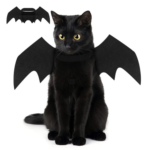 Crewell halloween costume - halloween,