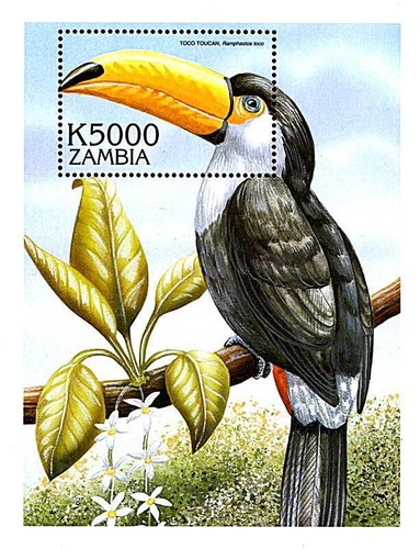 Zambia 2000 uccelli - 2000, +