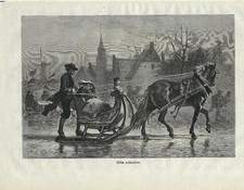 Stampa antica ZELANDIA ZEELAND