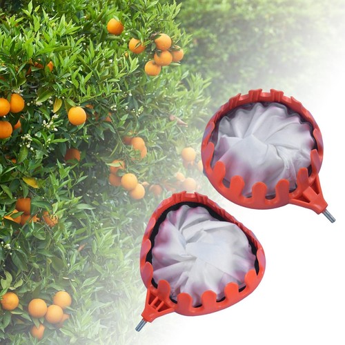 Cesto per raccolta - per, di