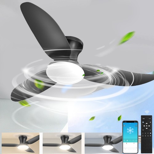 Ventilatore soffitto led - ventilatore, da