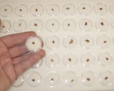 Jack Hills Zircon Oldest rock