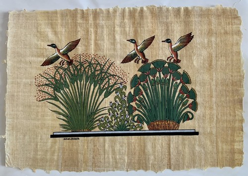 Papiro egizio 22 disegno - 32,