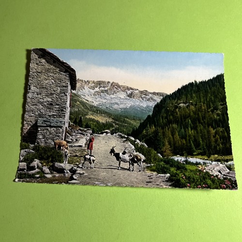 Cartolina colori collezione - colori,