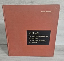 Atlas of Topographical Anatomy