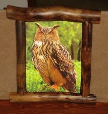 NUOVO QUADRO 3D gufo